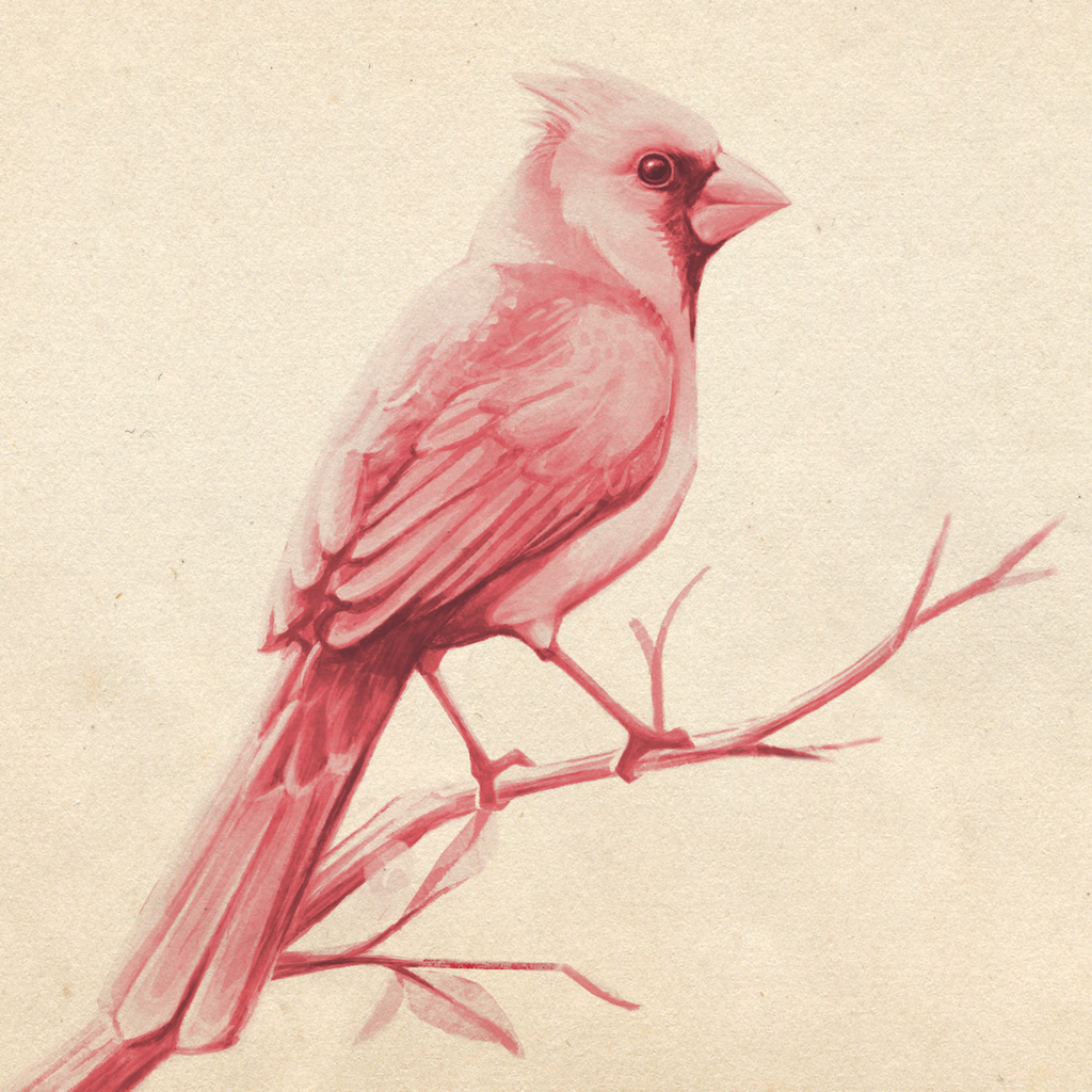 Show Sympathy Through Thoughtful Gifting