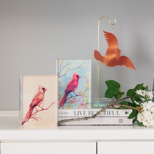 The Cardinal Note Cards