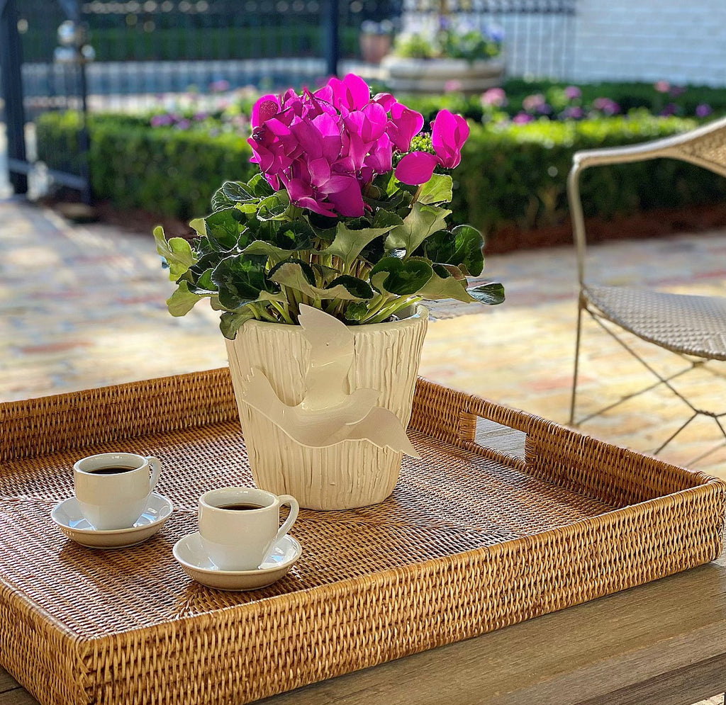 Colleen's Pick- The Italian Pot