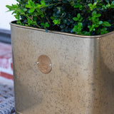 Kew Aged Brass Regency Outdoor Square Planter