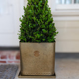 Kew Aged Brass Regency Outdoor Square Planter