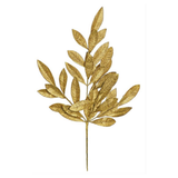 Bay Leaf Pick