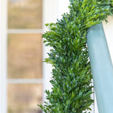 Boxwood Garland - 6'