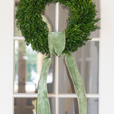 Sage Velvet Ribbon with Gold Back