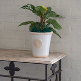 Cotswold Kew Pot - White