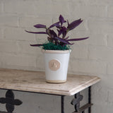 Cotswold Kew Pot - White