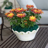 Court Pendu Low Bowl