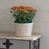 Windsor Low Pot - Mint Green