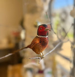 Glass Pheasant