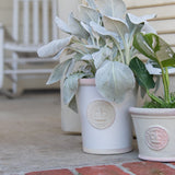 Cotswold Kew Pot - White