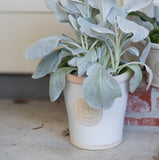 Cotswold Kew Pot - White