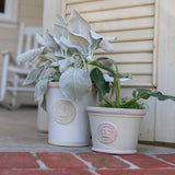Cotswold Kew Pot - White