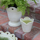 Surrey Scallop Pot - Verde White