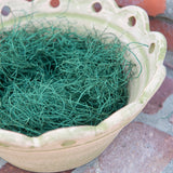 Preserved Deep Green Moss