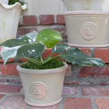 Windsor Low Pot - Mint Green