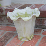 Chantecler Pot - Verde White