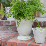 Surrey Scallop Pot - Verde White