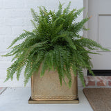 Kew Aged Brass Regency Outdoor Square Planter
