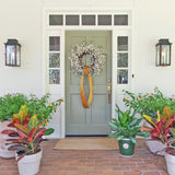 Ochre Velvet Ribbon - 4"