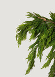 Afloral Real Touch Norfolk Pine Dripping Garland - 40"