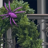 Glittered Spider Decorative Clip