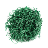 Preserved Deep Green Moss