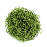 Spanish Moss Spring Green