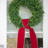 Red Suede Ribbon