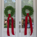 Red Suede Ribbon